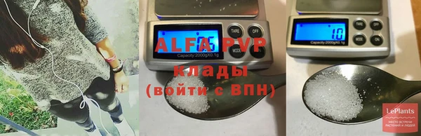 СК Богородск