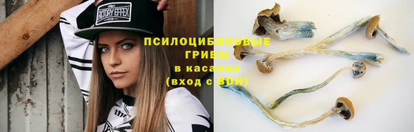 герыч Богородицк