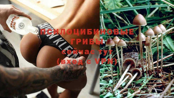кокаин колумбия Богданович